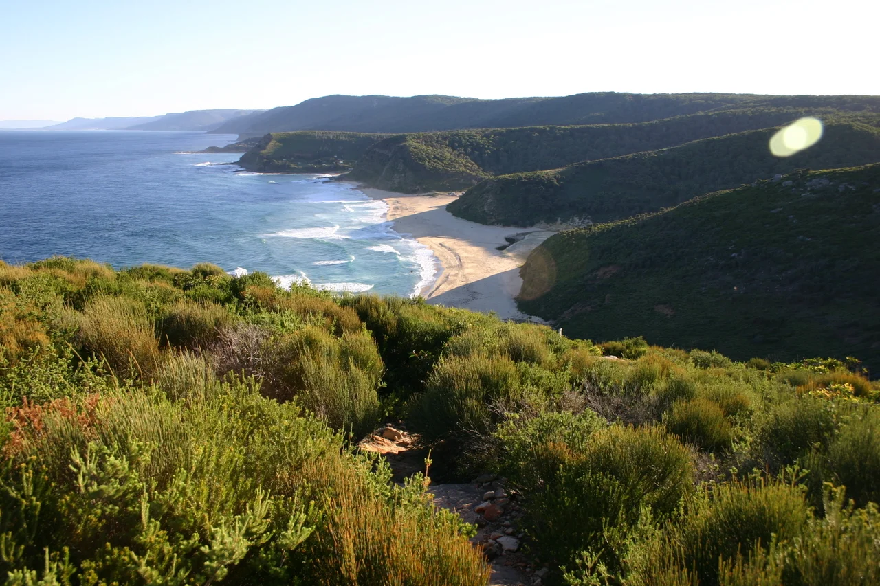 Garie Beach, Royal National Park, Australia: Late afternoon view of Garie Beach from nearby cliffs.