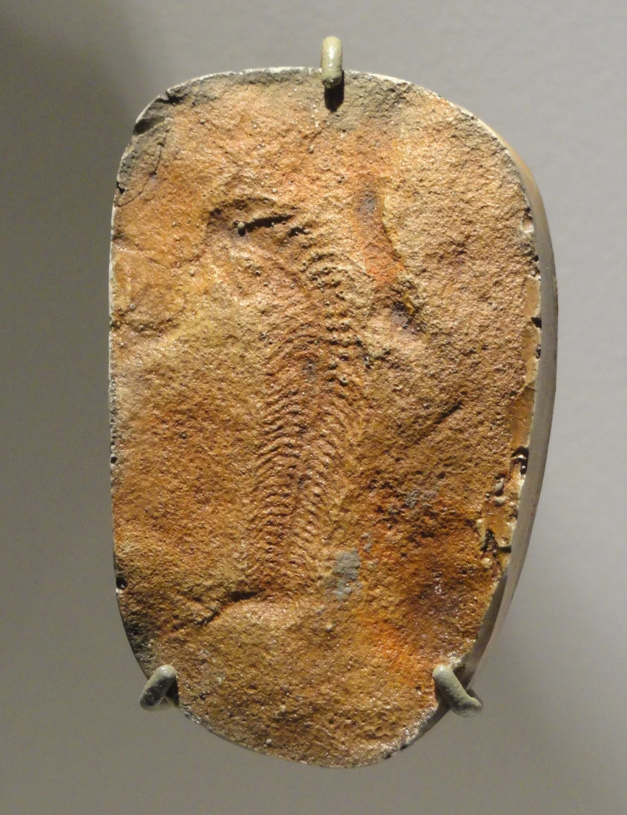 Exhibit in the Houston Museum of Natural Science, Houston, Texas, USA. Photography was permitted in the museum without restriction.