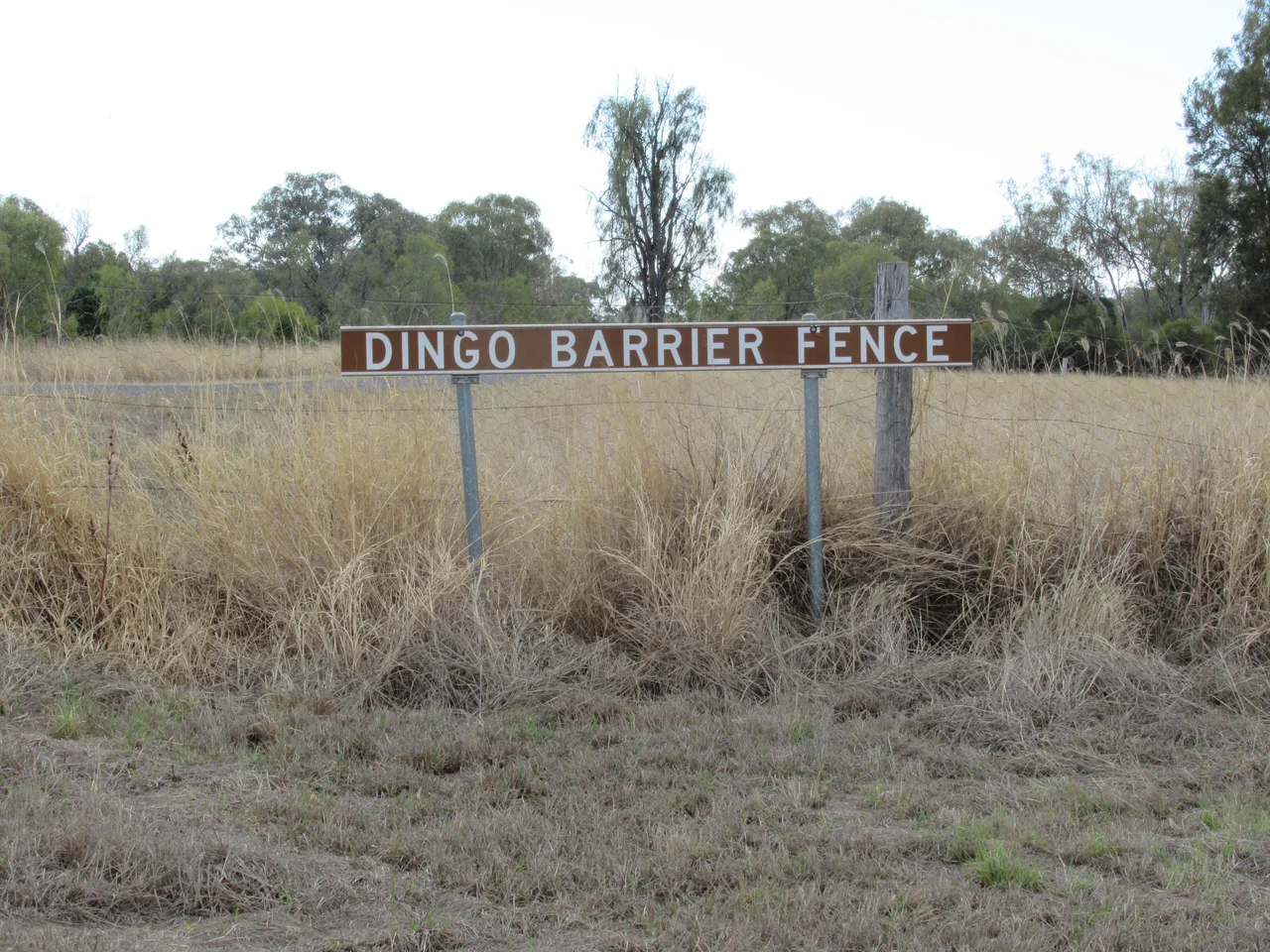 Dingo Barrier fence, near Bell, Queensland, Australia