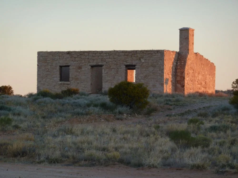 Carcory Homestead Ruin, from N (2011)