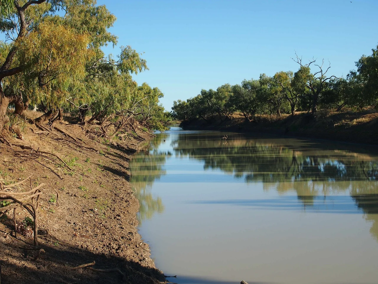 Georgina River, Lake Nash station.