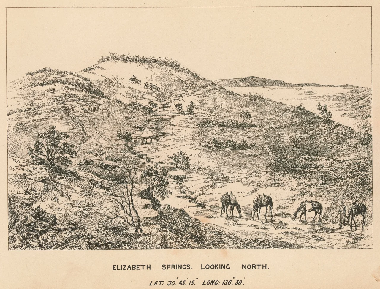 Elizabeth Springs, looking north - Lat: 30°. 45'. 15" Long: 136°. 30'm artwork by George French Angas, 1859
