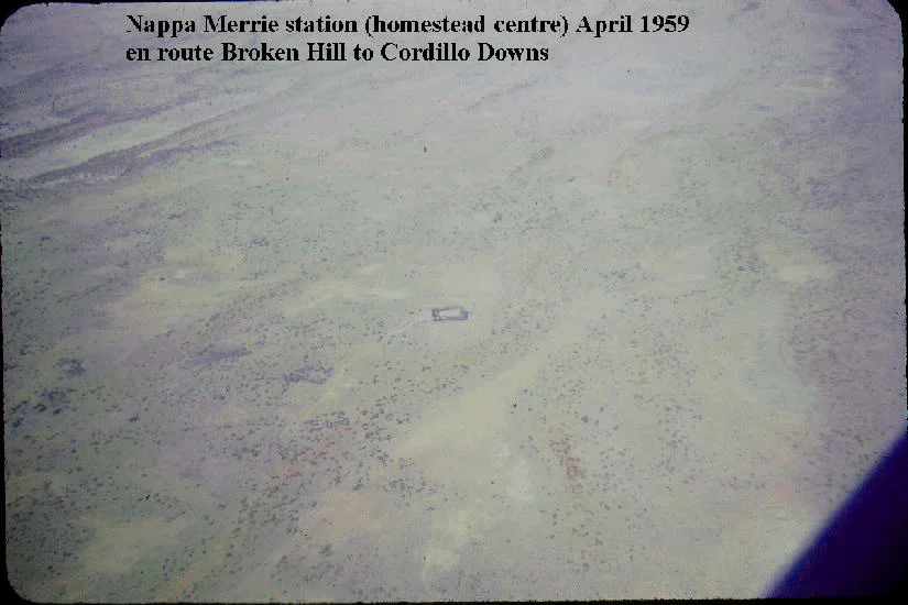 Photo of Nappa Merrie homestead in 1959
