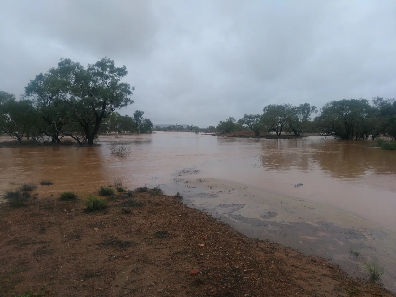 Cooper Creek / Channel Country (QLD)