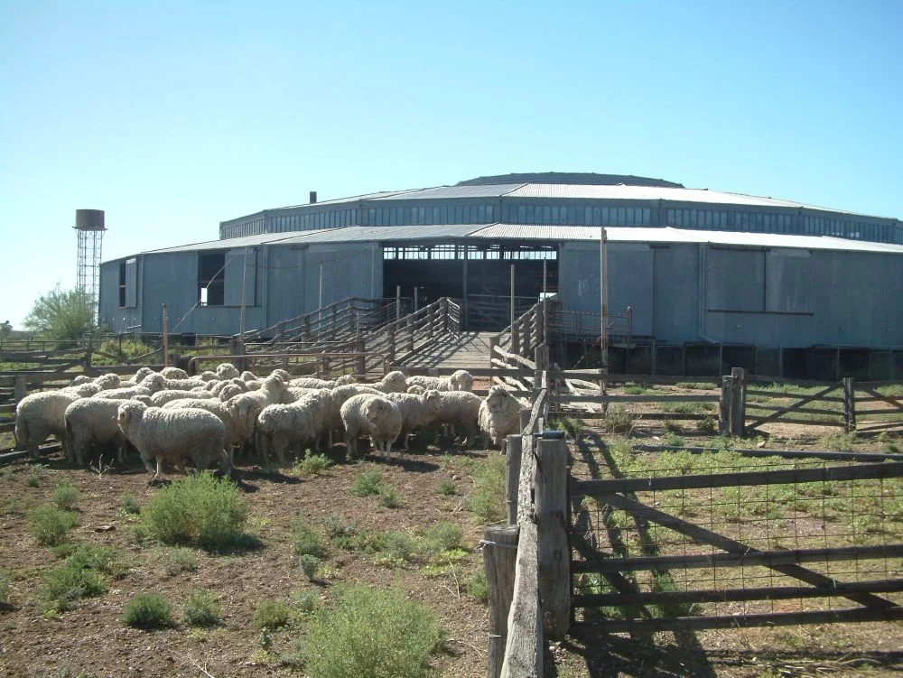 Isis Downs Woolshed Complex