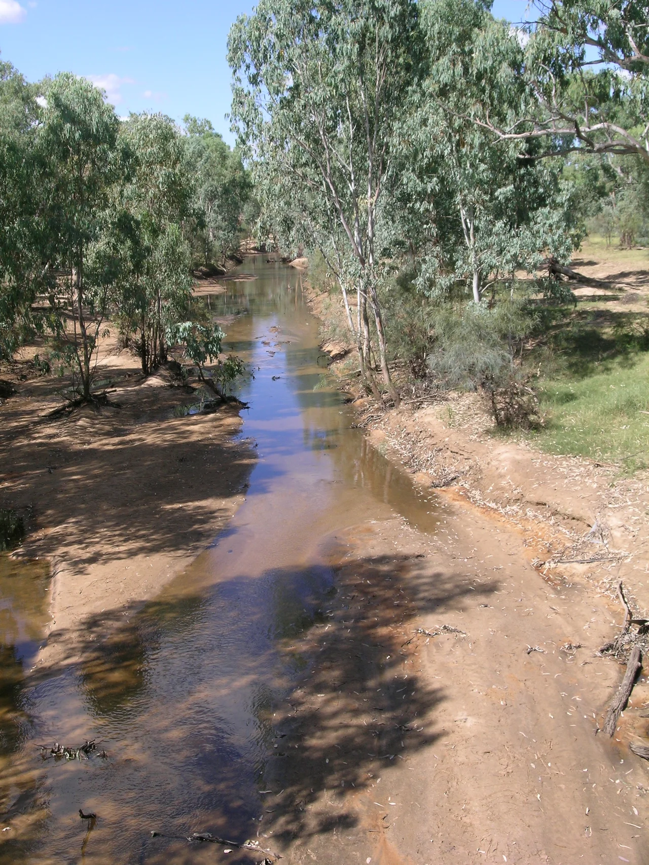 The Alice River near the Landsborough (Matilda) Hwy., Barcaldine, QLD.