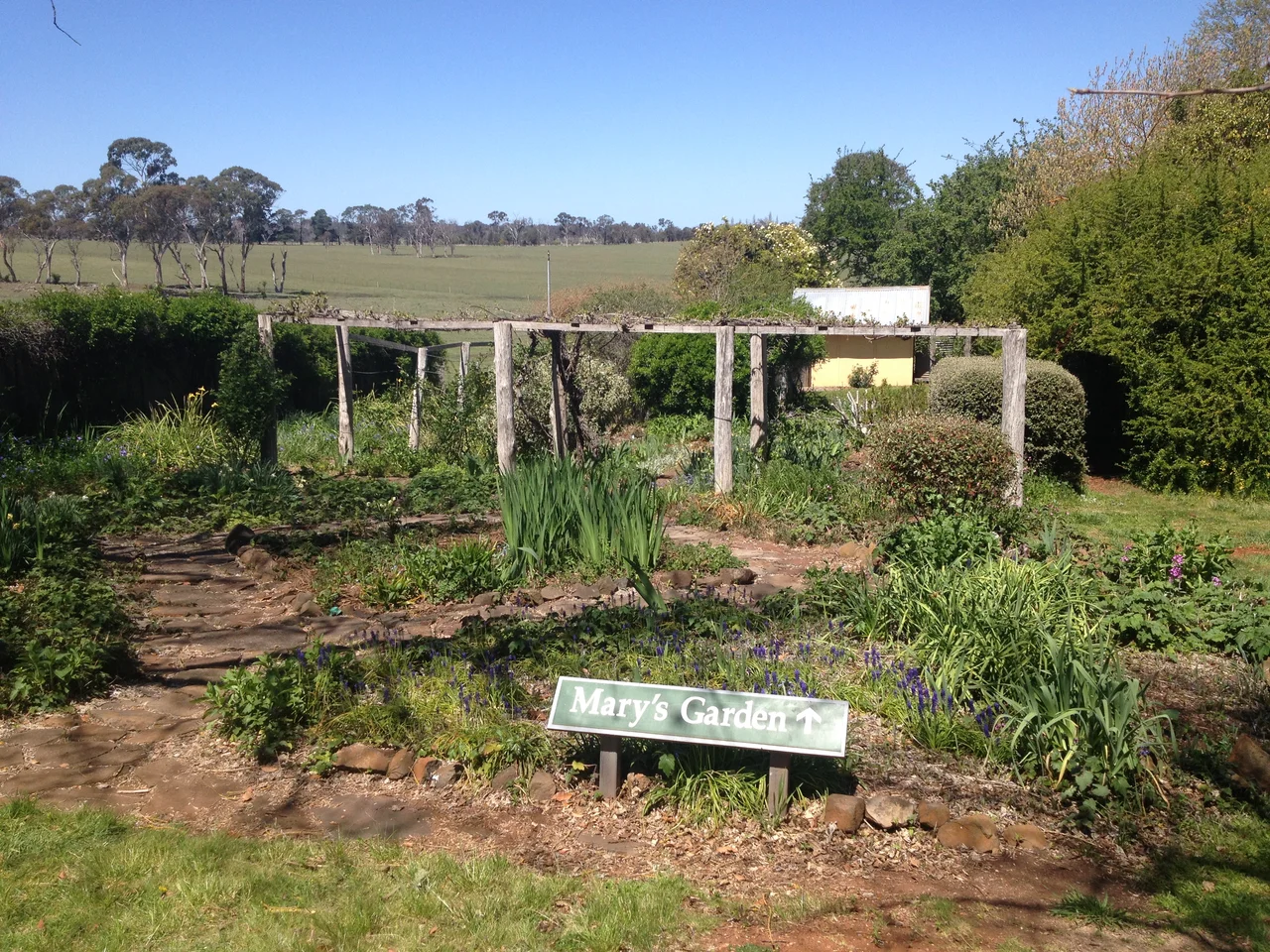 Photograph of Mary's Garden located at Saumarez Homestead, NSW Australia.