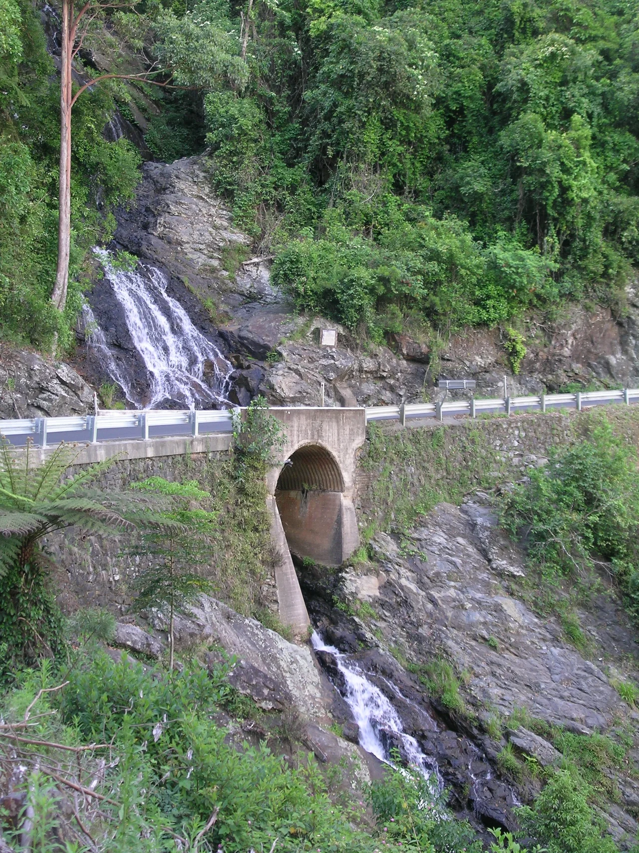Newell Falls, Waterfall Way, Dorrigo National Park, NSW