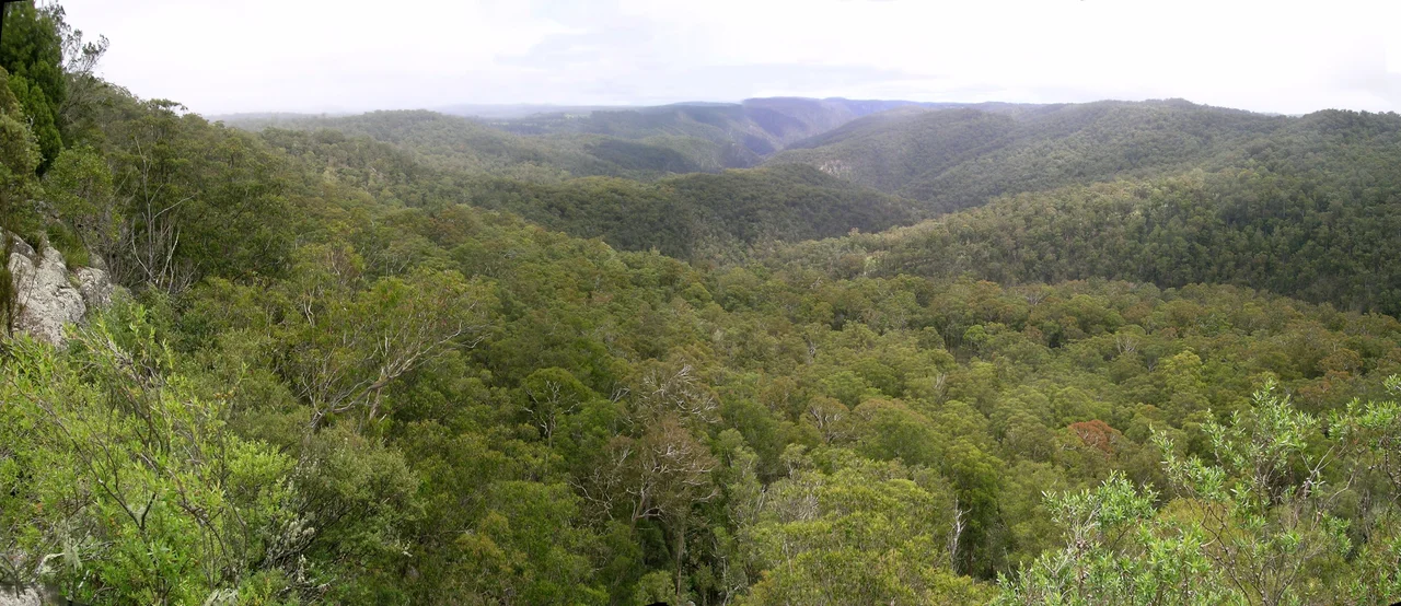 Guy Fawkes River National Park, NSW