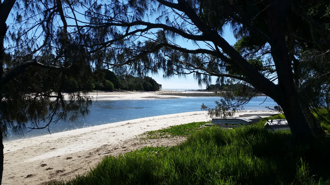 Habitat of Sternopriscus weiri in Australia, New South Wales, Yuraygir NP, Minnie Water Lake.