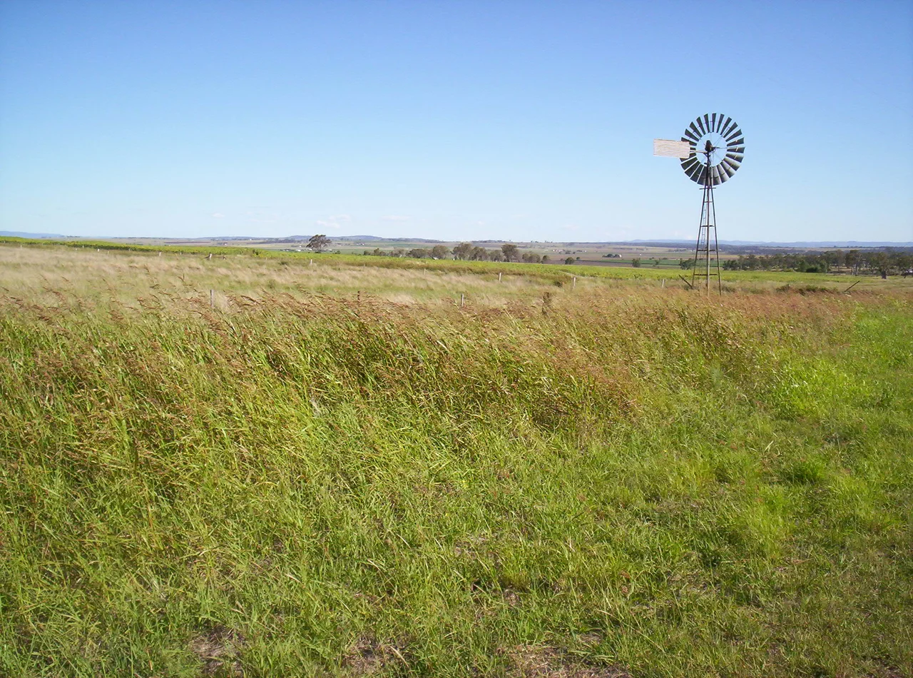 A windmill near Allora, on the Darling Downs, Queensland