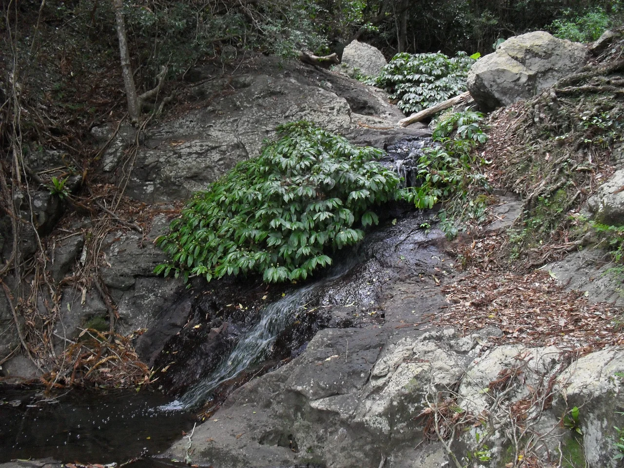 The final cascade before the main plunge of Mcgrory Falls.
