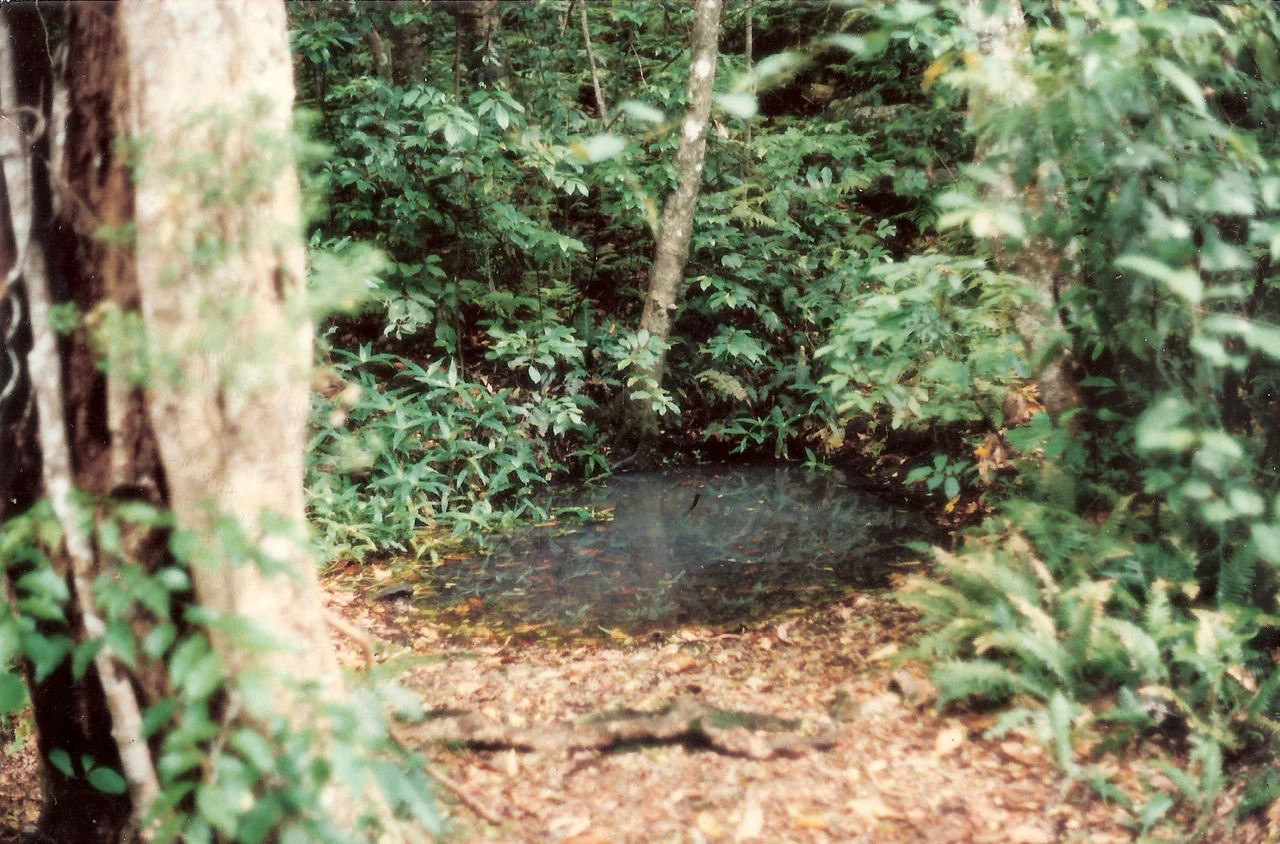 Scan of a photo of Moss's Well at Spicers Gap, South East Queensland, Australia