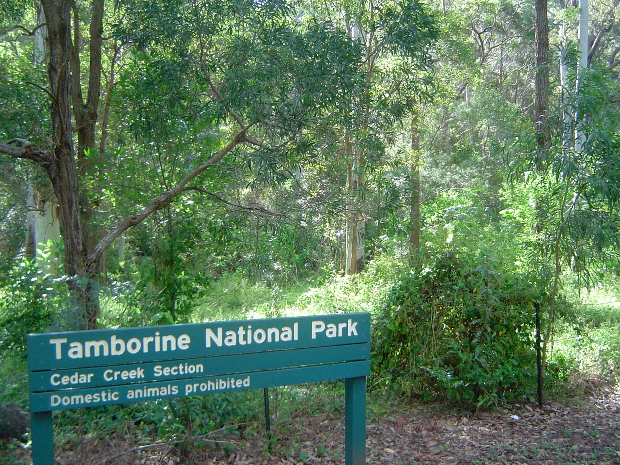 Photo of signage at Cedar Creek Falls in Tamborine National Park, South East Queensland, Australia.