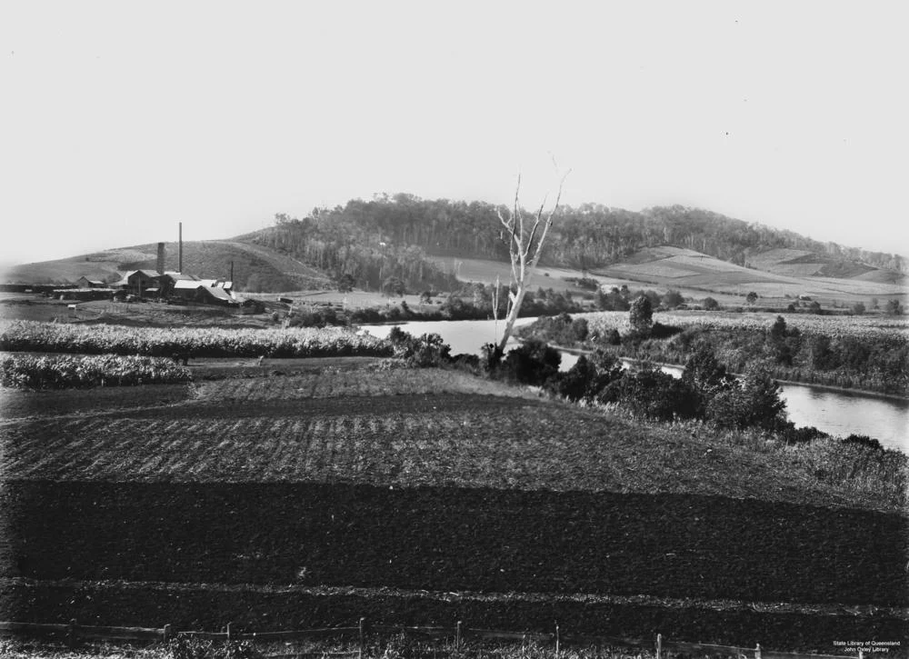Beenleigh Rum Distillery near Beenleigh, Queensland, ca. 1912
Rolling hills, sugar cane fields, and the Beenleigh Rum Distillery on the banks of the Albert River, ca. 1912.