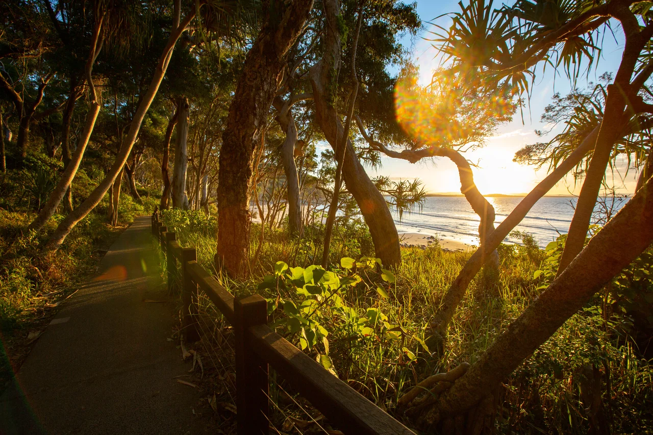 The beach along Noosa headlands, Queensland.  Only accessible by foot.  Photo by Raffi Kojian.