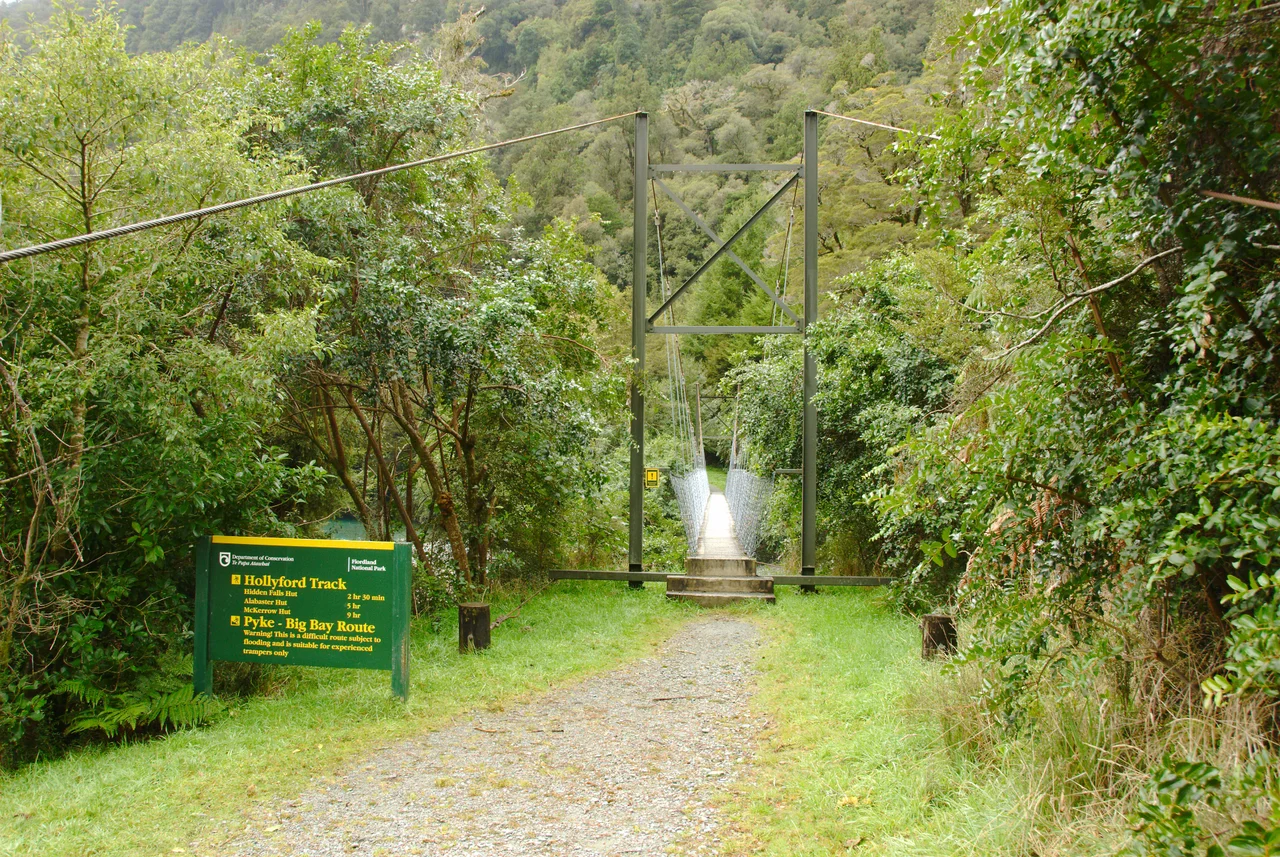 The Hollyford River end of the Hollyford Track

The track starts with that bridge at the road end of the Lower Hollyford Road