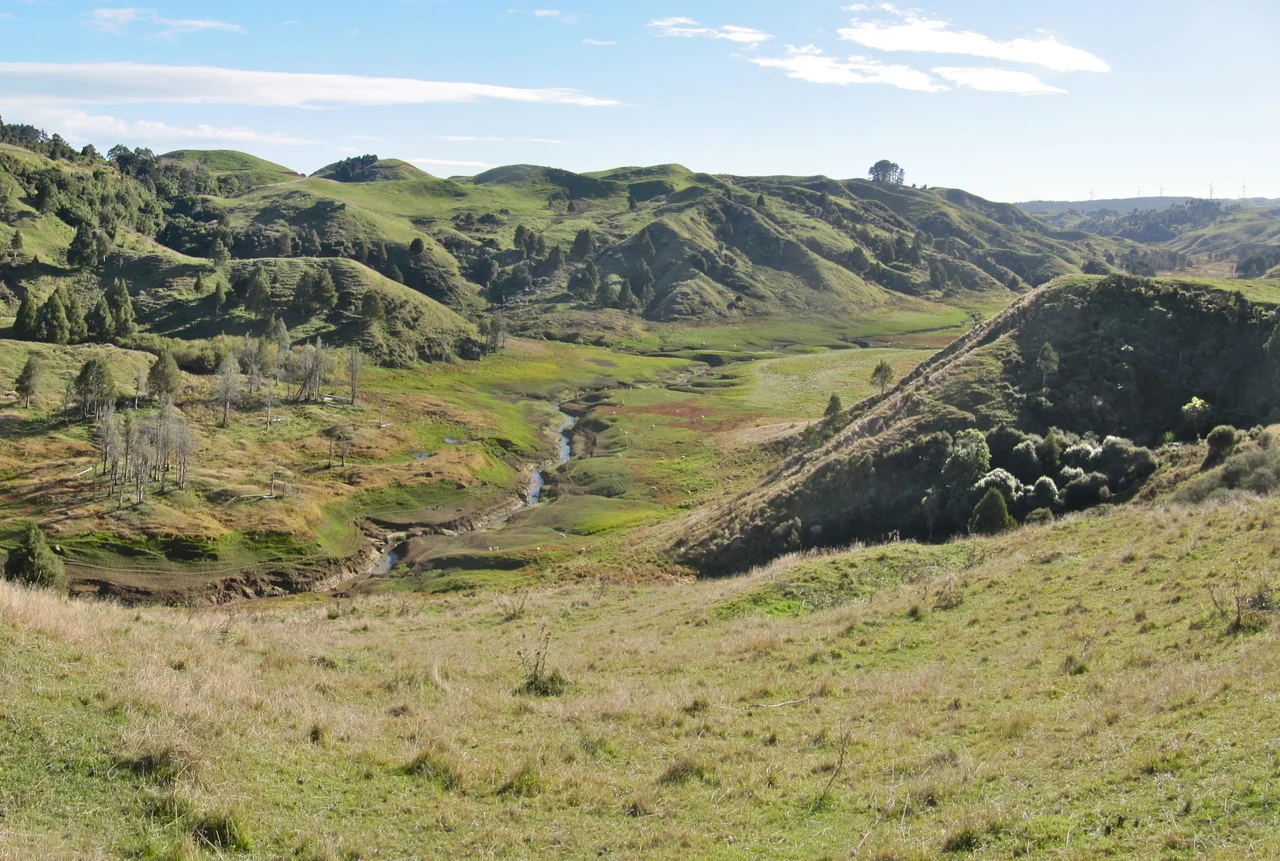 Pakihi Stream flowing through lake bed