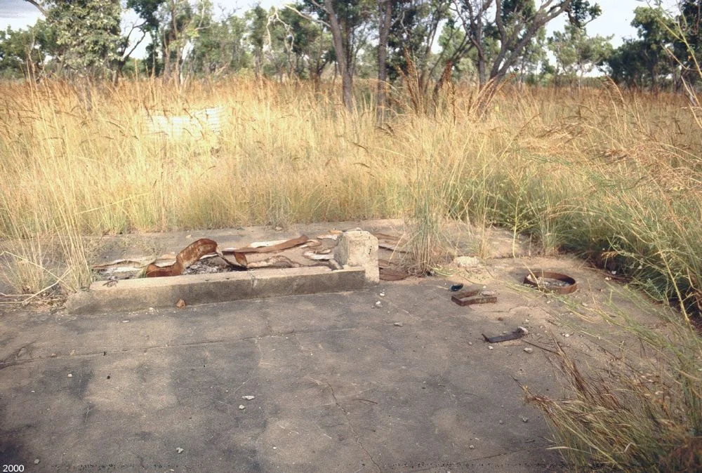 Chinese Temple and Settlement Site (2000)