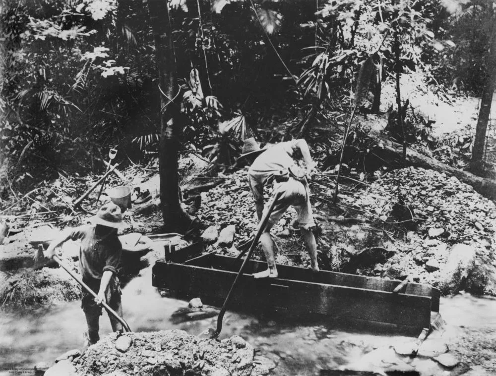 Tin mining in the Bloomfield River district, ca. 1884
Tin mining over divide of Bloomfield Valley, 1884. [Description supplied with photograph] 'The tin mines are situated on the south side of the river, east of Peter Botte Mountain, towards the Daintree watershed. Upwards of 100 men are at work getting alluvial tin, which is packed from seven to fourteen miles to the river, where it is shipped in small boats to Cooktown.' [Source of description: The Queenslander, 27 February 1886, p.349] The image shows two men searching for tin in the river.