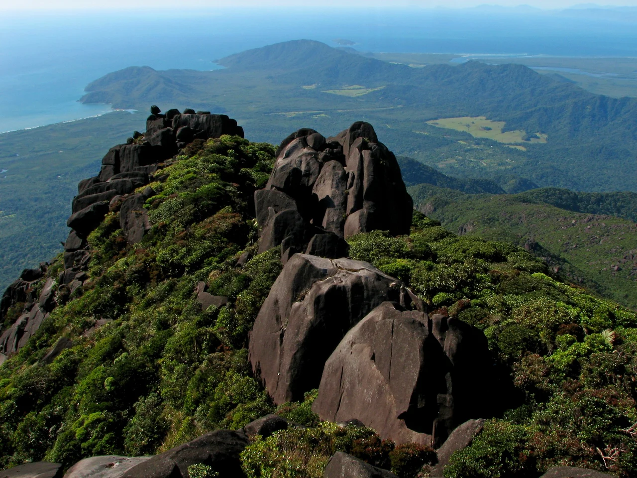 Summit of Thornton Peak looking over Alexander and Cow Bay, Daintree National Park