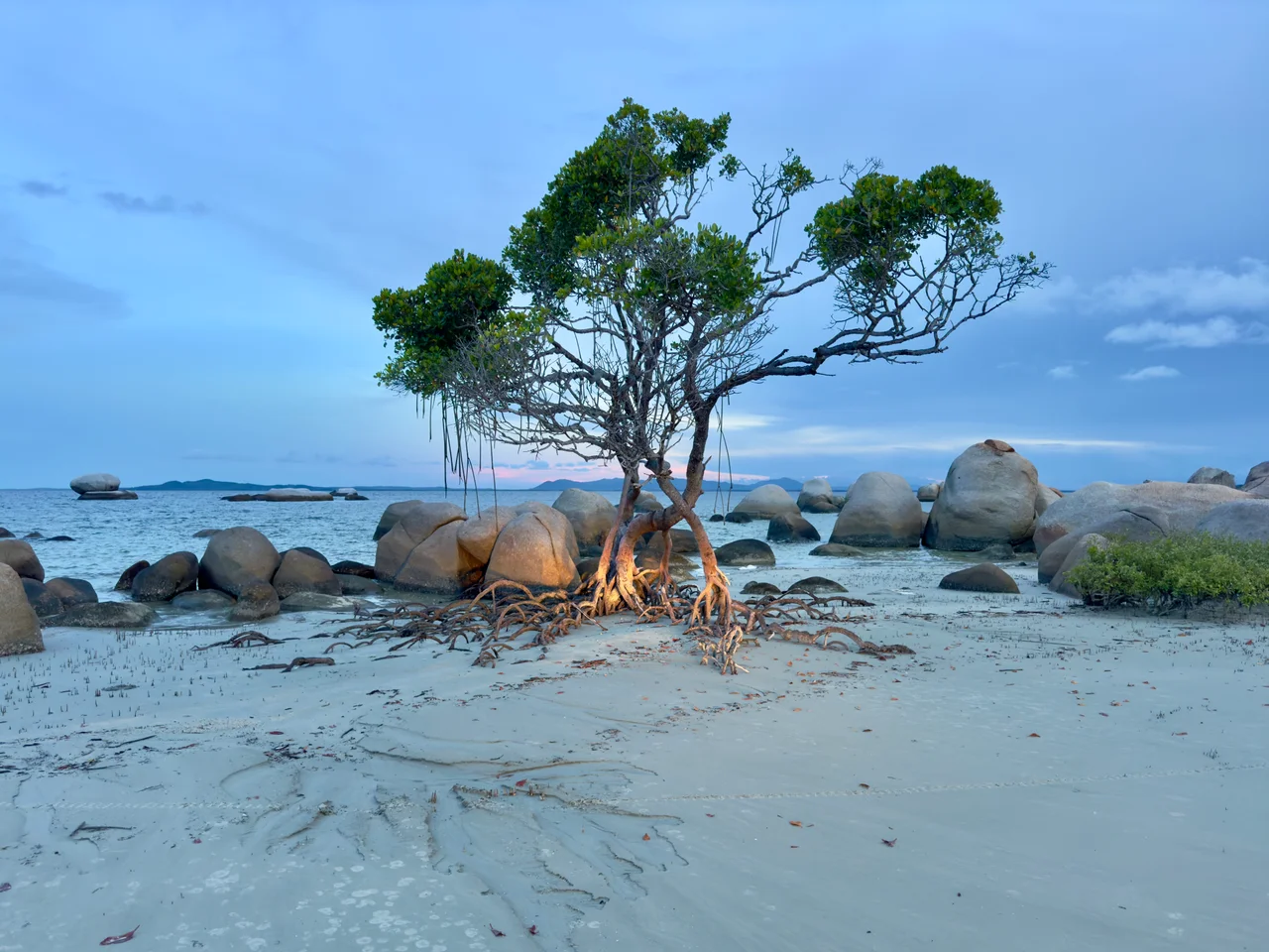 Blue hour at Quintell Beach, Lockhart River, Queensland, 2025