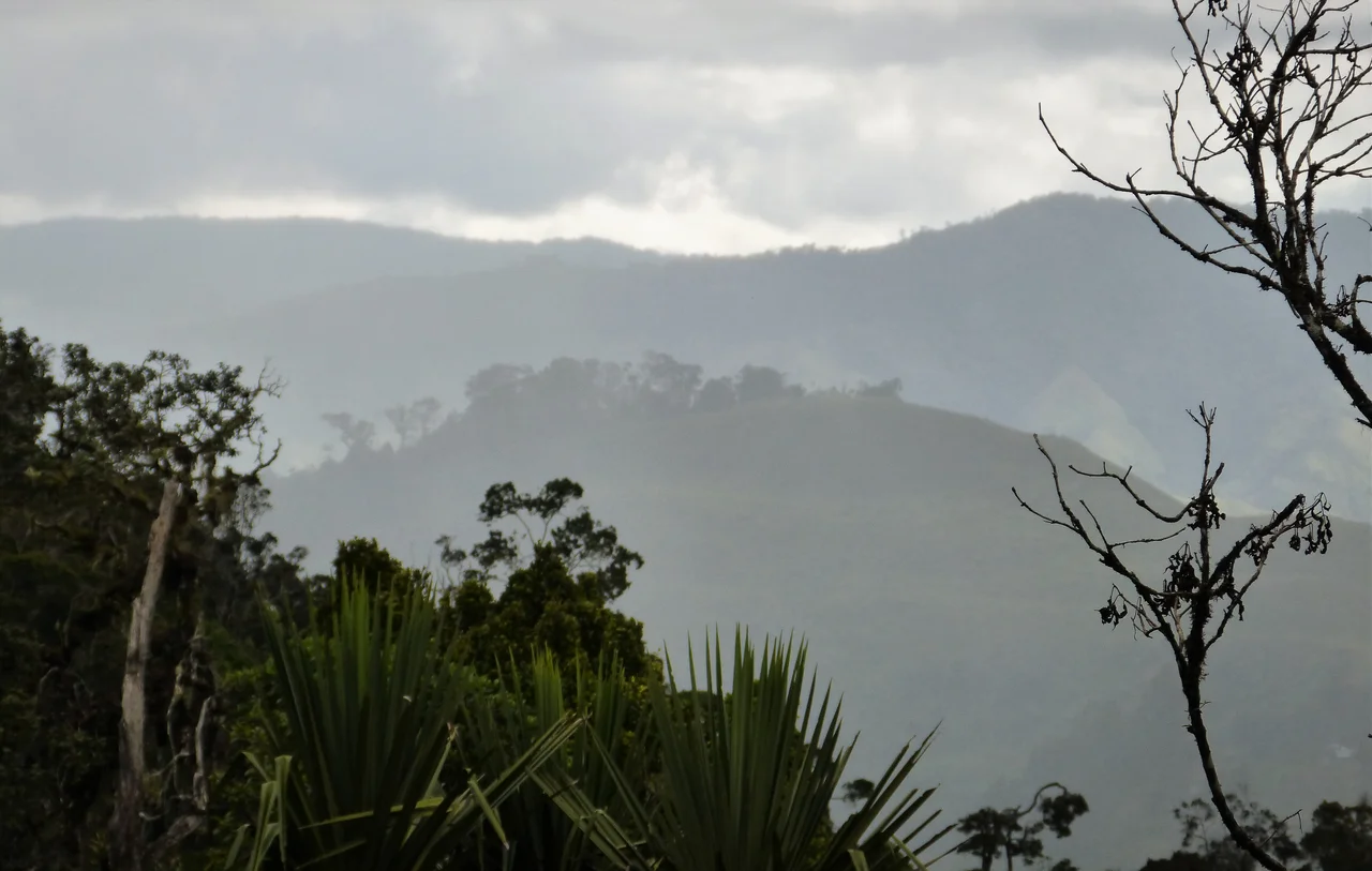 Mount Wilhelm - highest mountain in Papua New Guinea. Created and released under GFDL by Nomadtales.