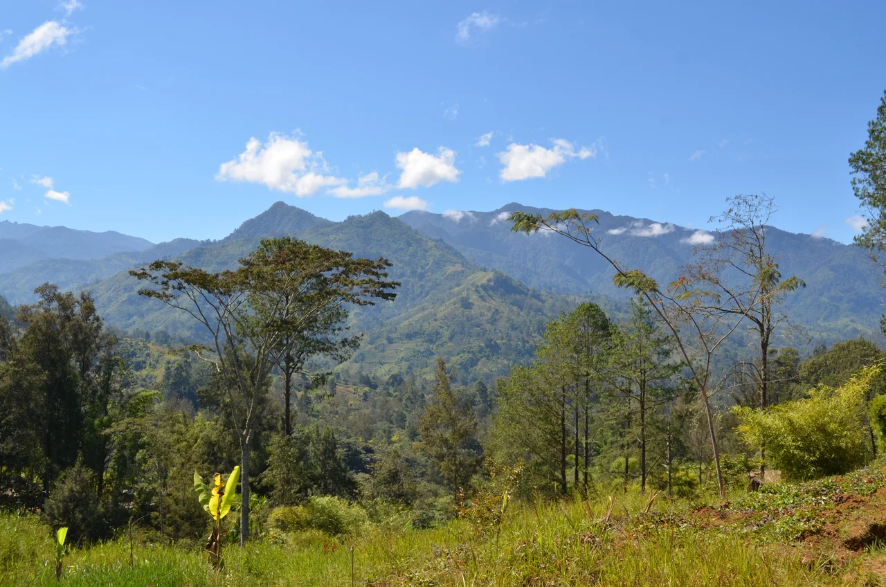 In the highlands of Papua new Guinea.  Read about PNG on eGuide Travel