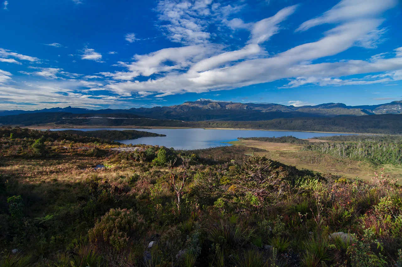 Danau Habema berada di kaki gunung Trikora di kabupaten Jayawijaya Papua, menjadi salah satu danu tertinggi di Indonesia dan masuk kawasan Taman Nasional Lorentz