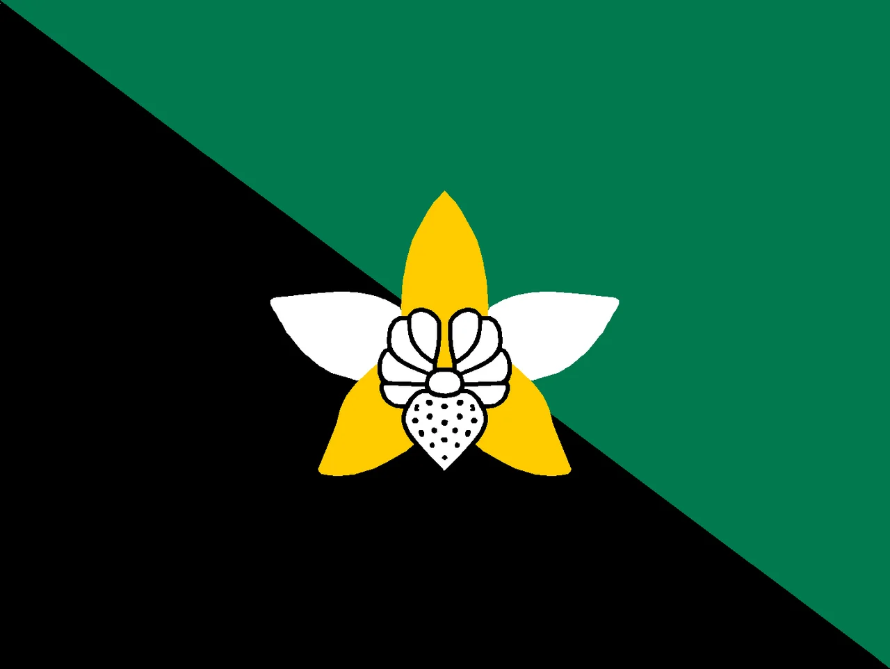 Flag of Enga, Papua New Guinea