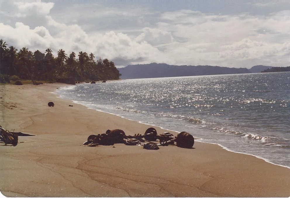 WWII remains on Buin NSP beach 1978