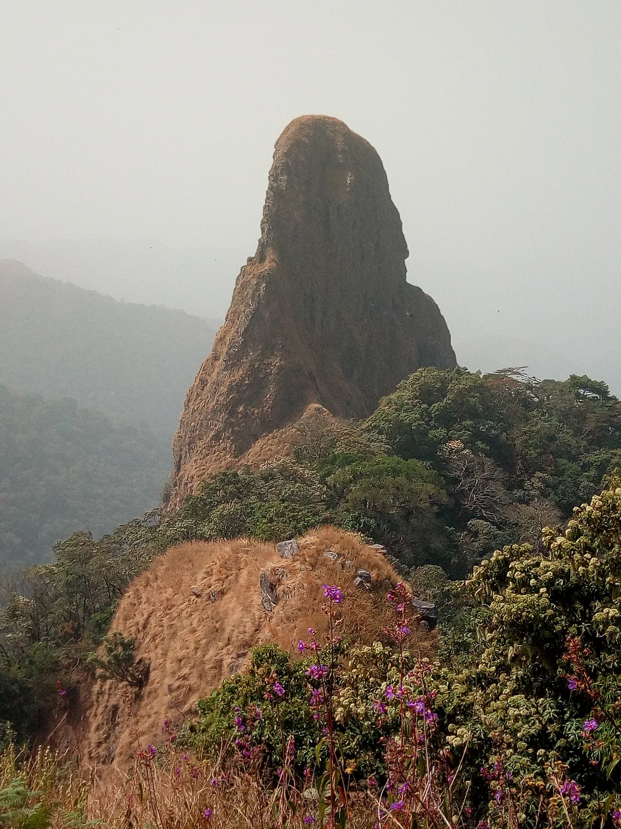 A section of Gashaka-Gumti National Park, along the Nigerian-Cameroun border on the Mambilla Plateau in Taraba state.