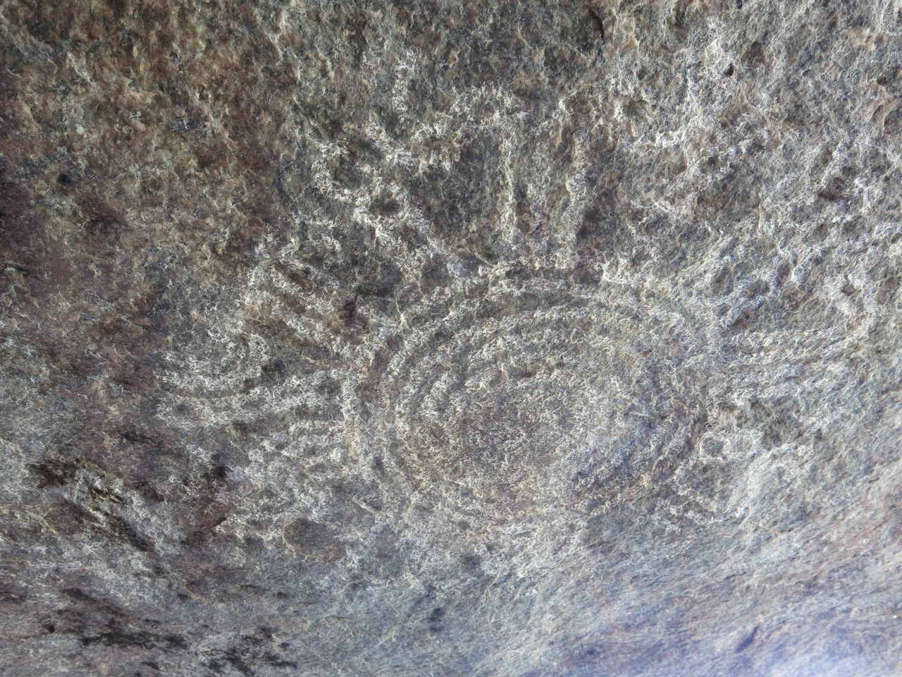 white concentric circles
