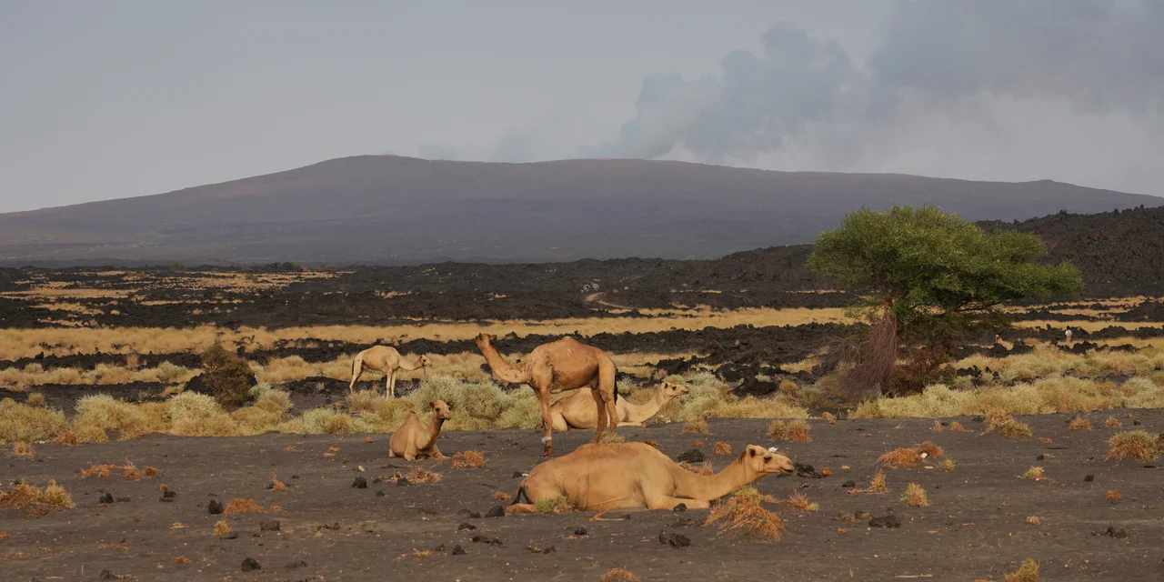 Panoramic view from Choma'a Hill in Mekele, Ethiopia