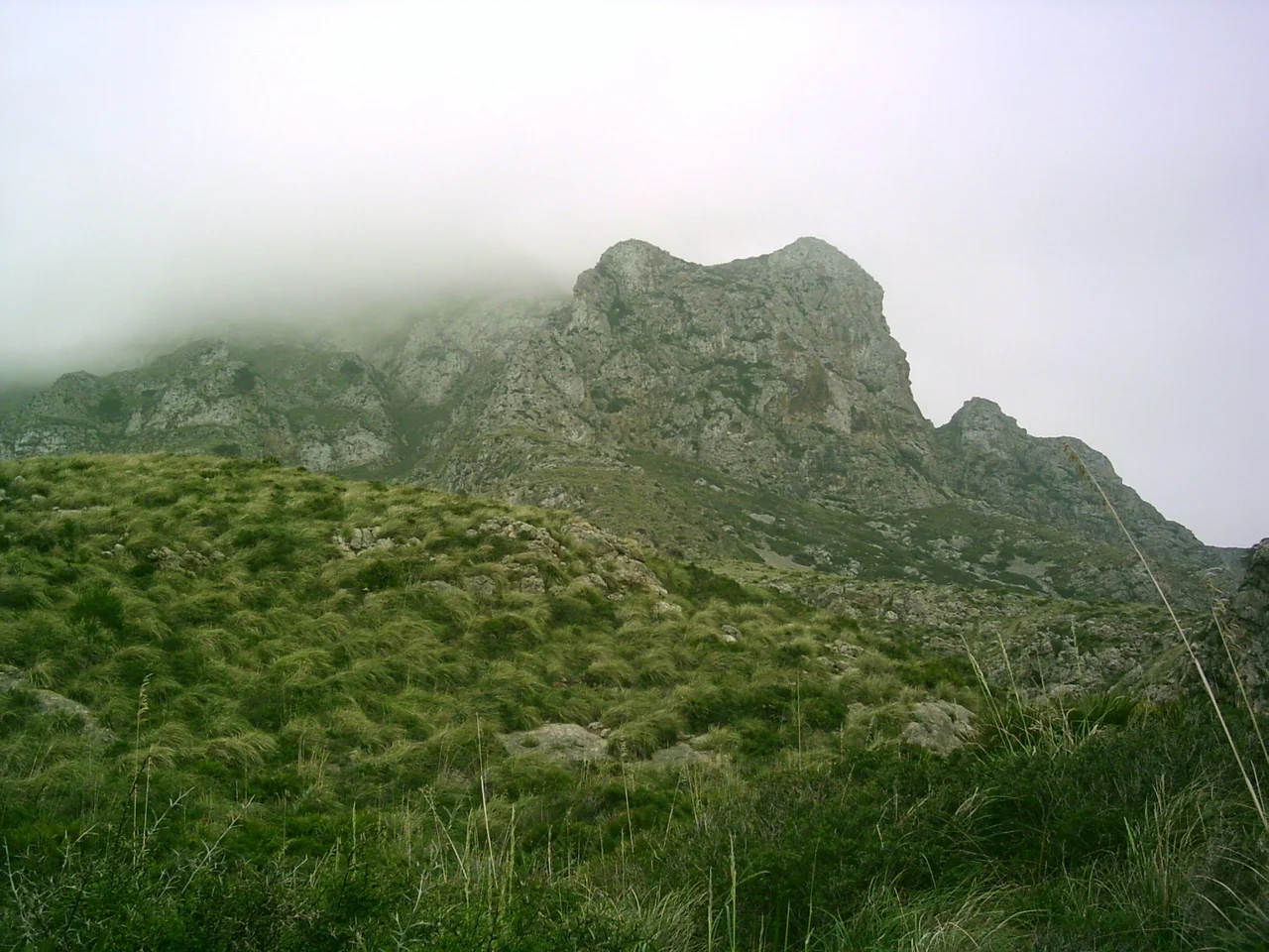 Beschreibung:

mountains by de:Artà, Mallorca, Spain
Quelle:
Fotografiert im März 2006
Fotograf:
Alma