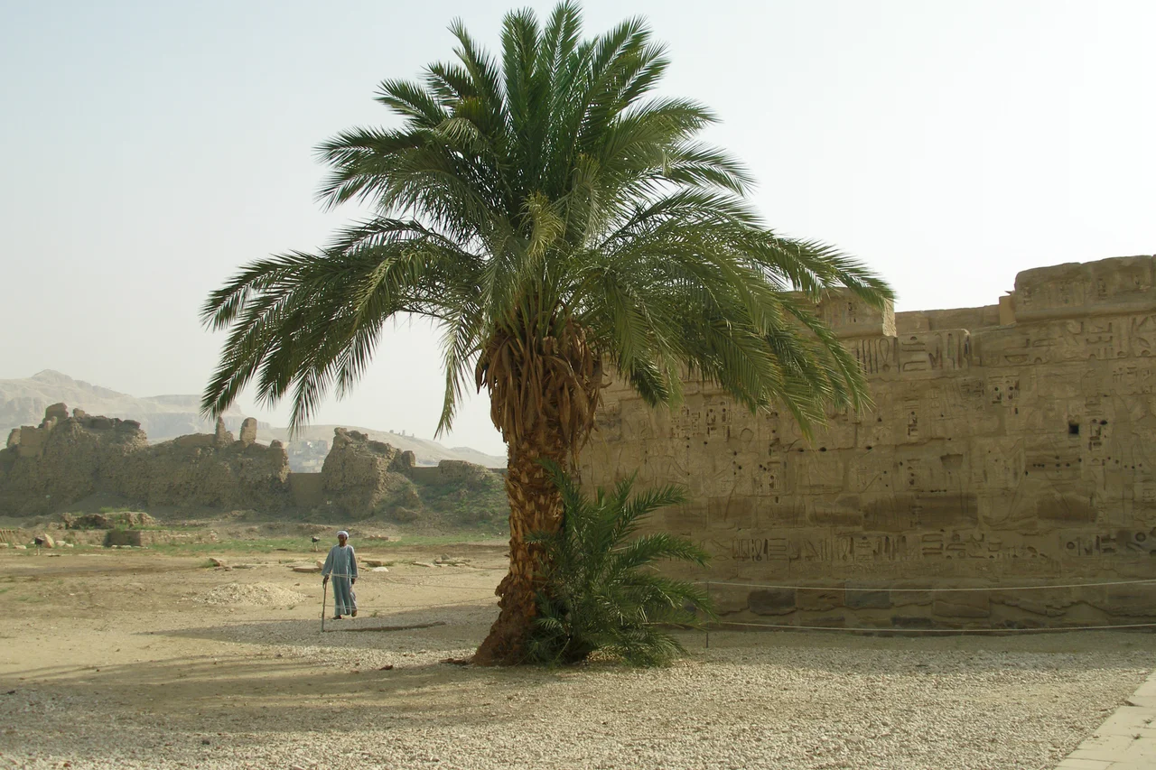 Medinet Habu is an archaeological site at the foot of the Theban Hills on the West Bank of the River Nile opposite Luxor, Egypt. Thebes, Luxor, Egypt.