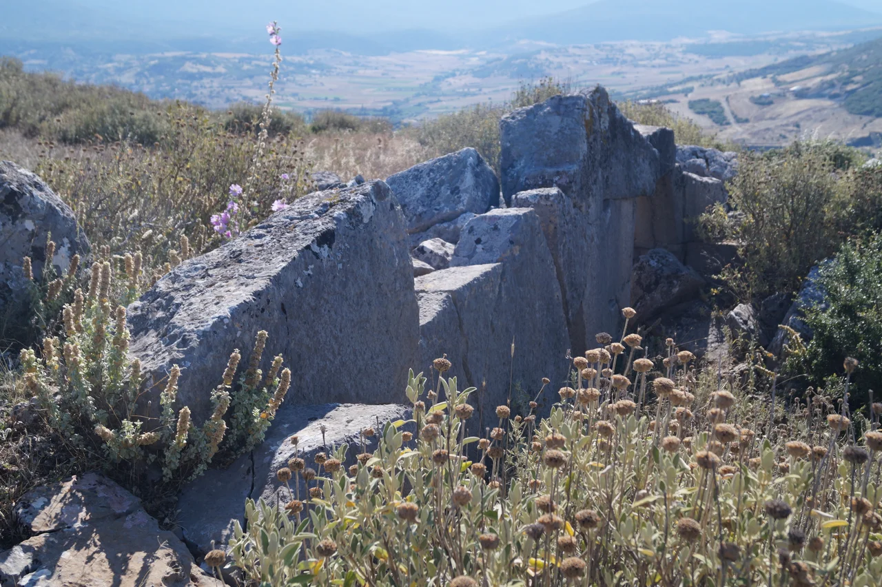 Greece: Ancient city of Abae, gate in the outer wall circuit.