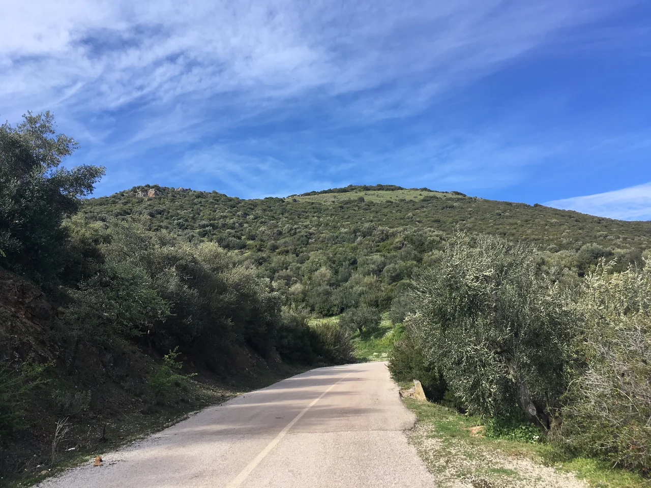 The site of ancient Larisa Kremasti or Gardiki, todays Pelasyia in Fthiotida.