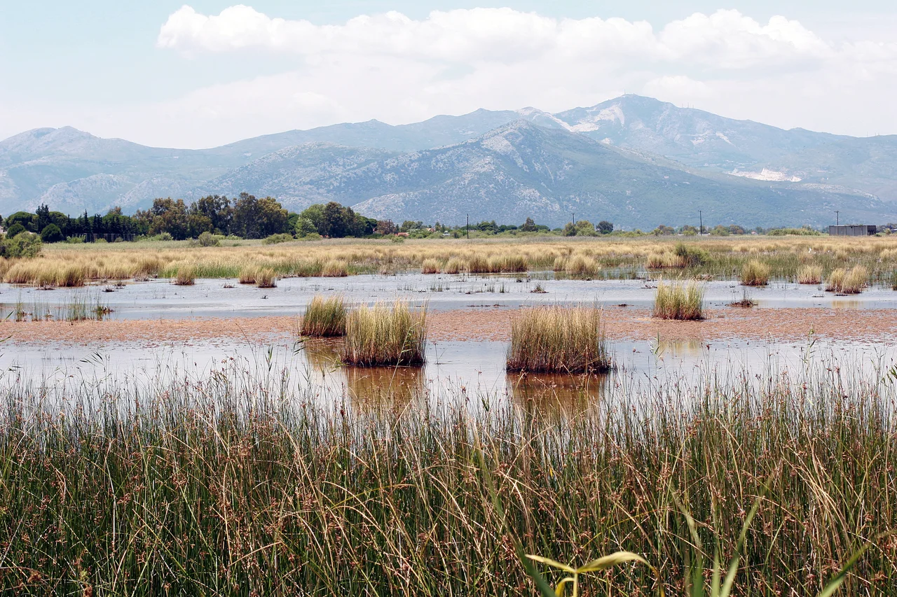 This is a a picture of a Natura 2000 protected area with ID