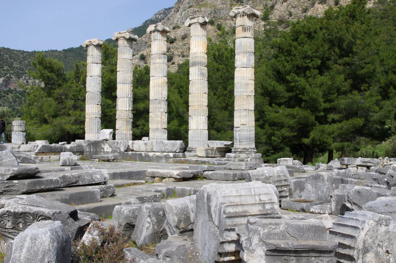 The Temple of Athena was started by Mausolus but completed by Alexander the Great, who hired  the great Greek architect Pytheos to complete the design and construction. It is the largest temple in Priene. Pytheos situated the temple so that it had (and still has) a beautiful view over the valley and river below. Alexander the Great invested heavily into rebuilding all of the Greek cities of the Ionic league following the defeat of the Persians. This classic Greek temple was done in the Ionic style and had no frieze around the top.  Instead, a dentil design sat above the columns and architrave.  The statue of Athena that was originally inside the temple was based on the famous statue by Phidias in the Parthenon of Athens.