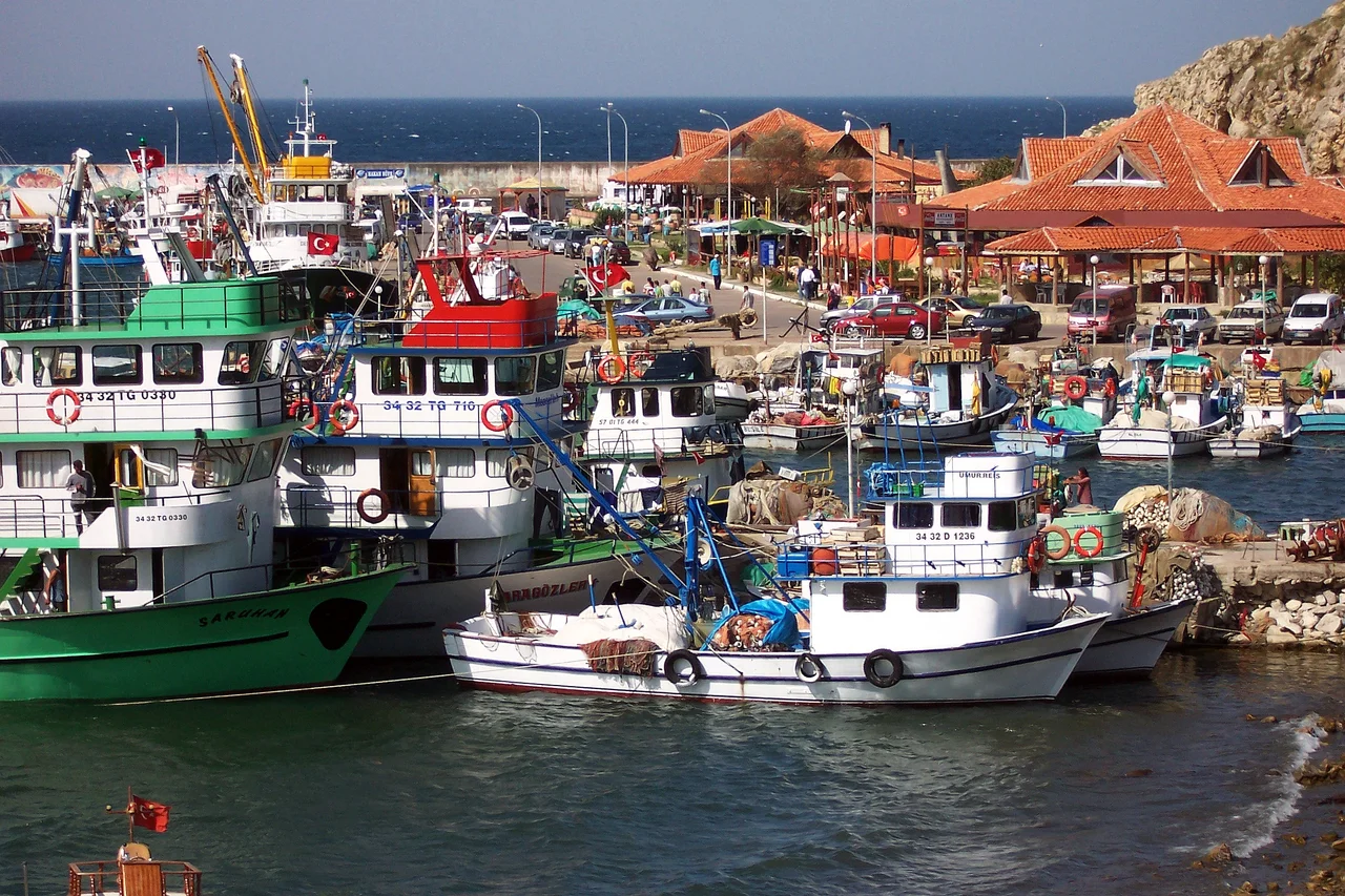 Turkey (Istanbul-Şile) Colorful  fishing harbor