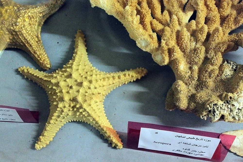 This is a photo of a monument in Iran identified by the ID
