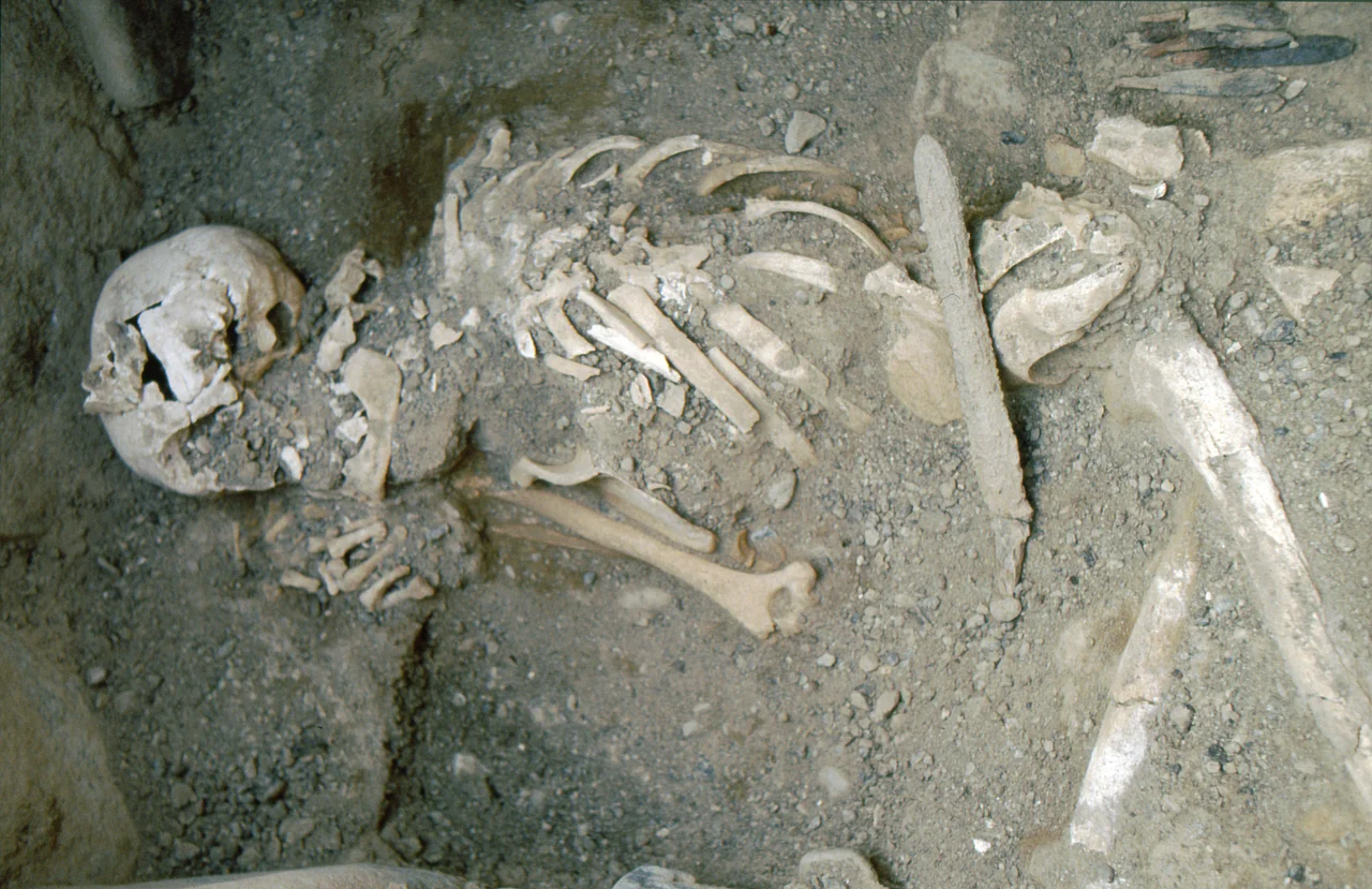 Skeleton of a man with a sword and arrow-heads, Samad al-Shan, Sultanate of Oman, samad Late Iron Age.