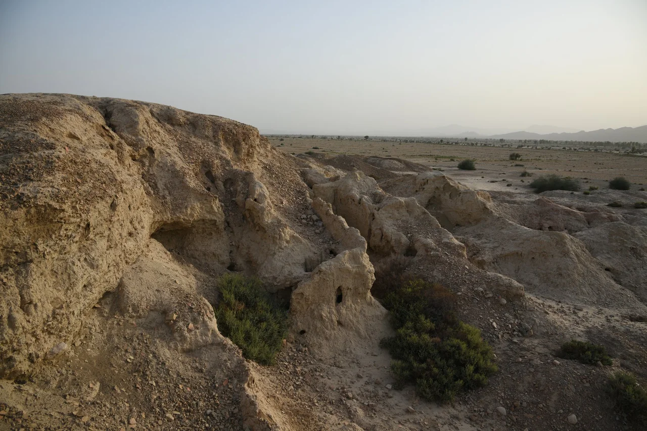 Mehrgarh ruins. Dated to 5500 BC per Dikshit, K.N. (2013)       Origin of Early Harappan Cultures in the Sarasvati Valley: Recent Archaeological Evidence and Radiometric Dates, p. 104. Archived from the original on 18 January 2017.