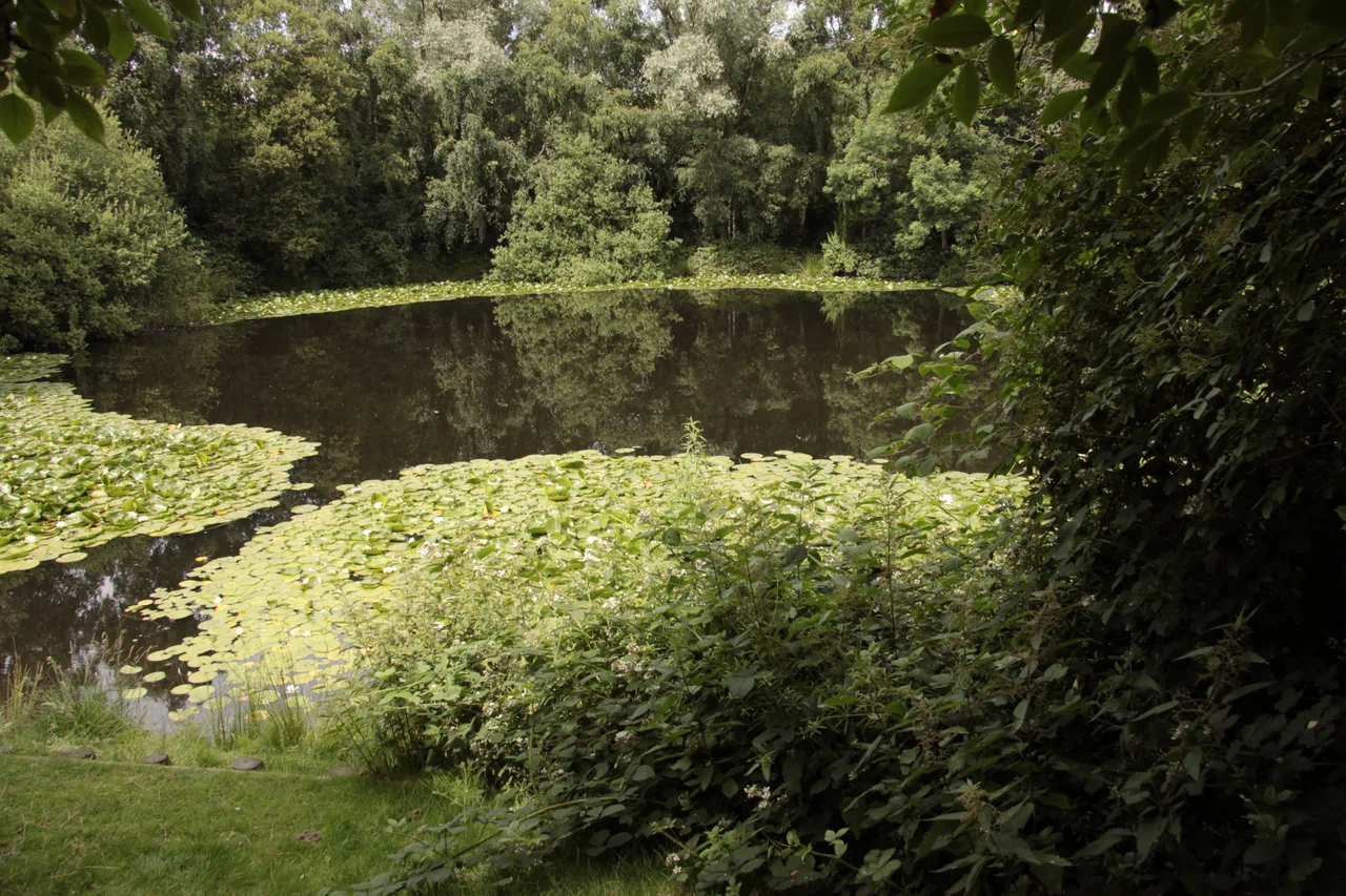 Spanbroekmolen Mine Crater Memorial — The Pool of Peace, also known as Lone Tree Crater. The site of the largest of the mines blown by the British on 7 June 1917 at the start of the Battle of Messines.