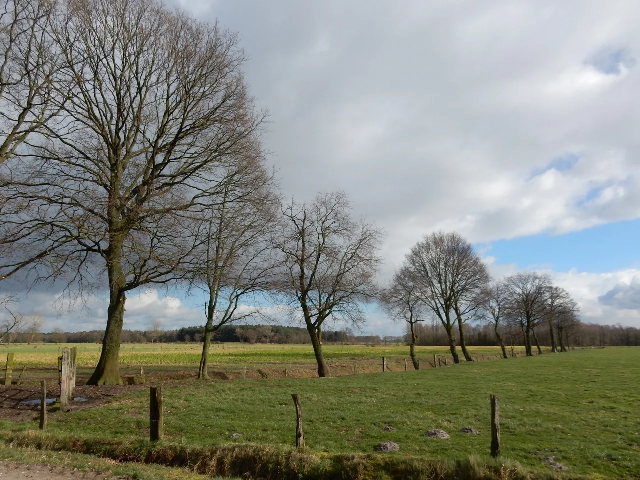 Typisch Kempens landschap op de Mechelse Hei (Maasmechelen).