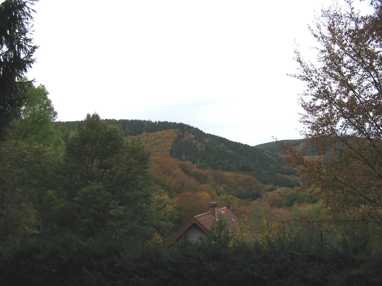 View looking west over the Kall Valley in the Huertgen Forest.