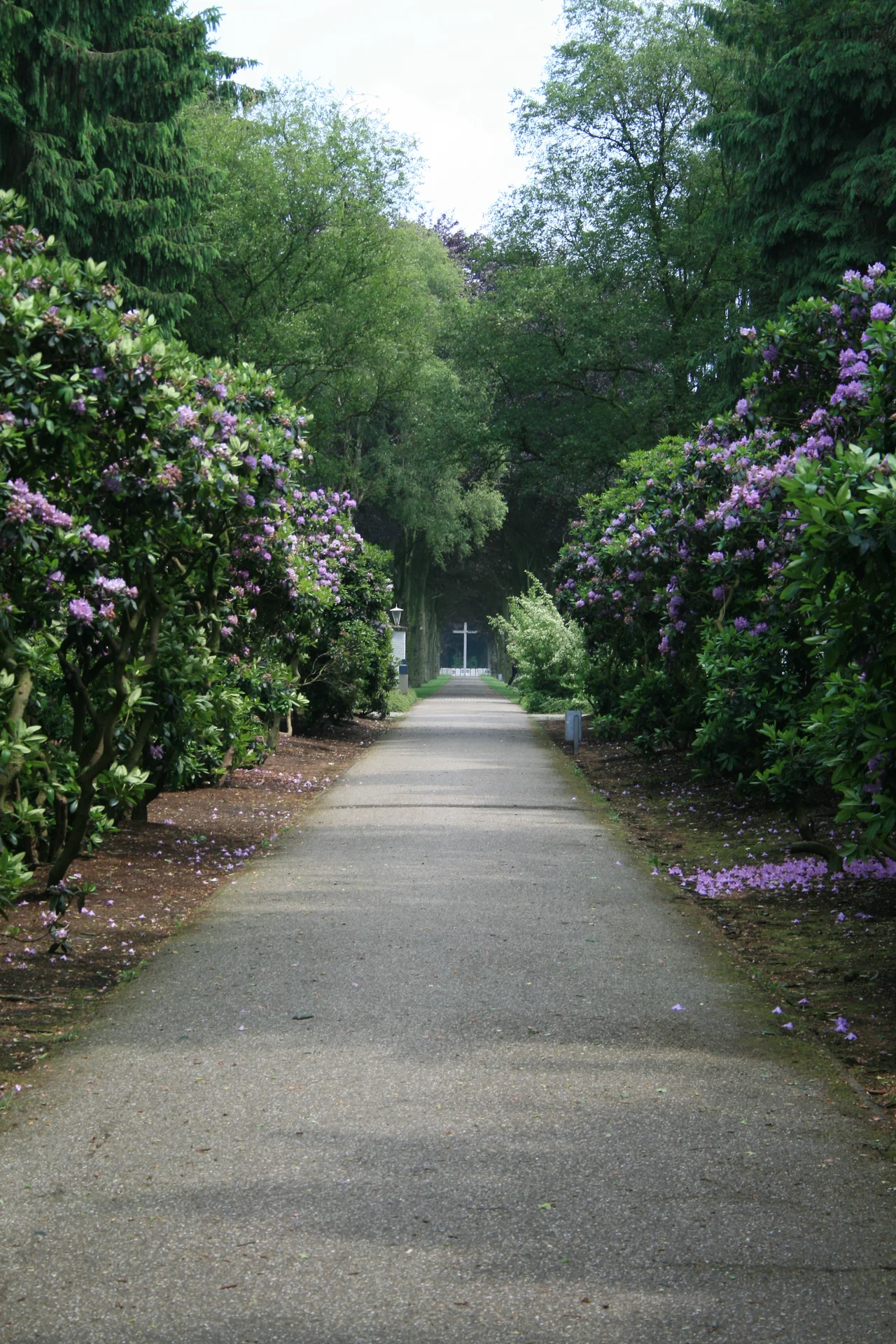 The beautiful entrance to the Ysselsteyn War Cemetery