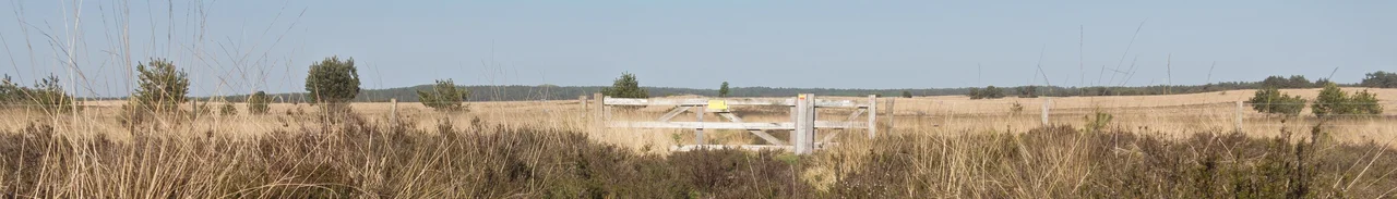 Nationaal Park Veluwezoom, panorama withy fence. Original image by User:Michielverbeek, edited for use as banner on Wikivoyage.