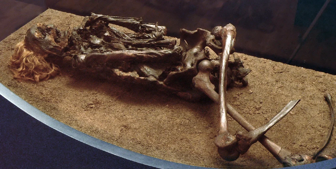Bog body Neu Versen Man, also known as Red Franz at Niedersächsisches Landesmuseum Hannover, Germany